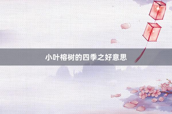 小叶榕树的四季之好意思